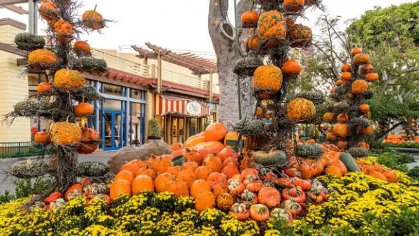 Fall-Time Treats and Fun Have Arrived at Downtown Disney in Disneyland Resort!