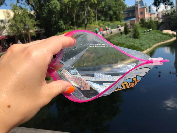 Splash Mountain Ziploc Bag Program is Underway Chip and Company