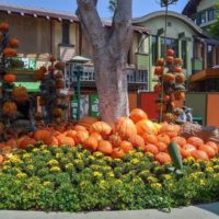 Take a Tour Of the Halloween Decorations At Disneyland and California Adventure