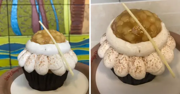 Take A Look At These Incredibly Delicious Cupcakes Found At The Contempo Cafe
