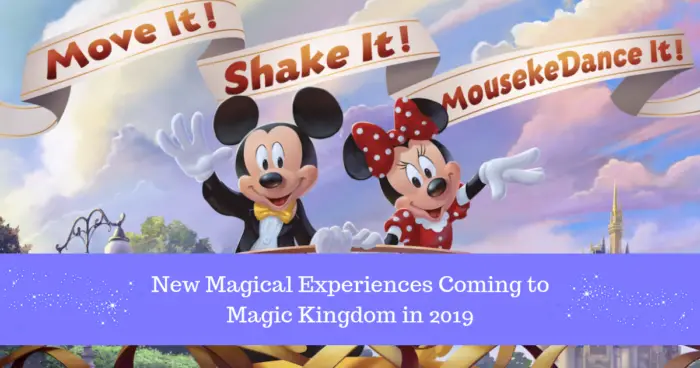 2019 Surprise Celebration Coming to Magic Kingdom