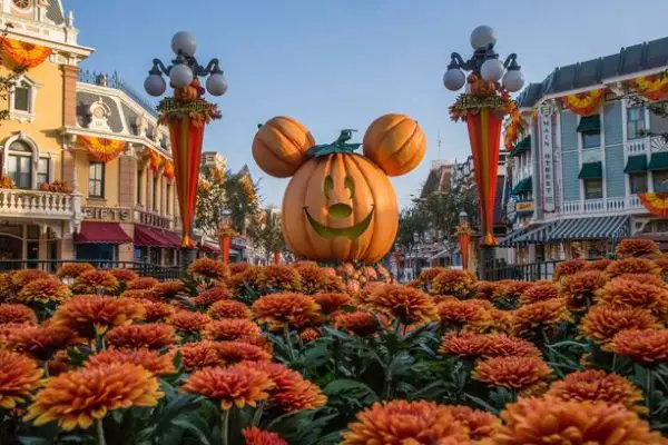 Autumn Falls over Disneyland Resort