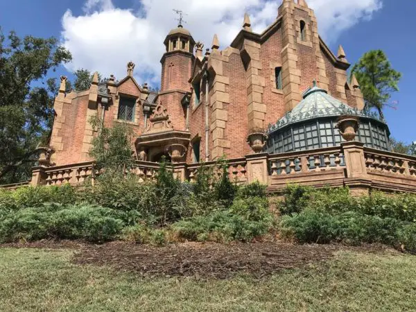 Trees on the Lawn of Haunted Mansion Removed