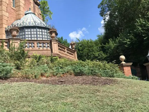 Trees on the Lawn of Haunted Mansion Removed