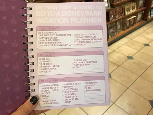 Disney Planners Make Organizing A Little More Magical