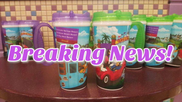 Refillable Drink Mugs From Select Resorts Now Can Be Used at Water Parks