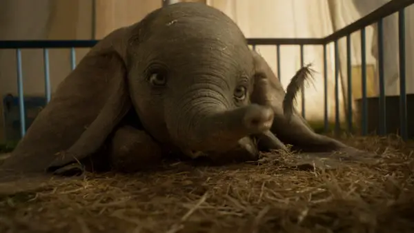 First Look at Disney's Live Dumbo Action Movie