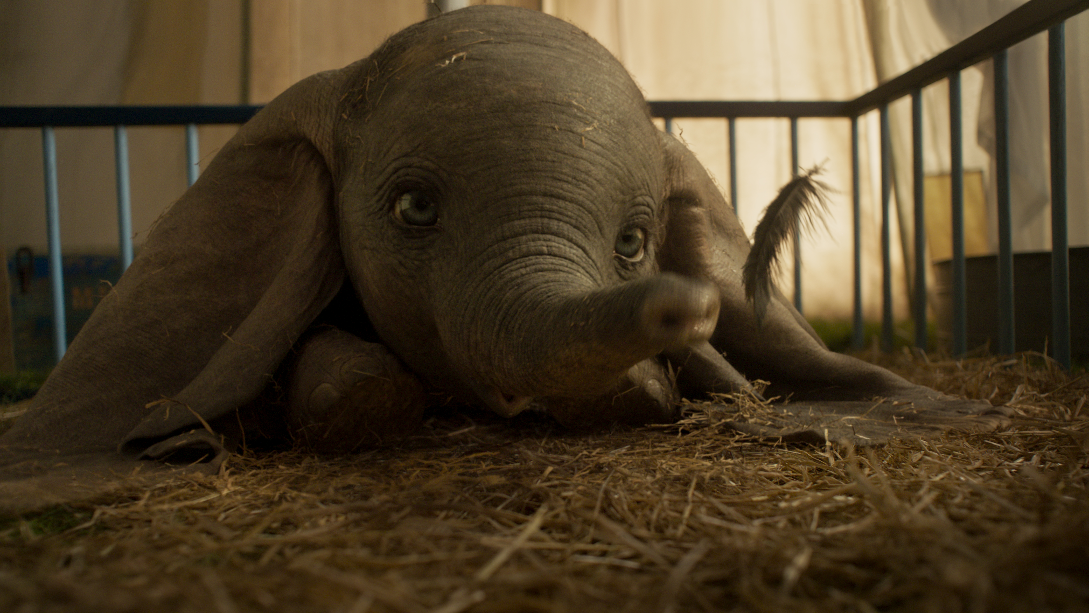 Dumbo’s Opening Weekend Box Office Numbers