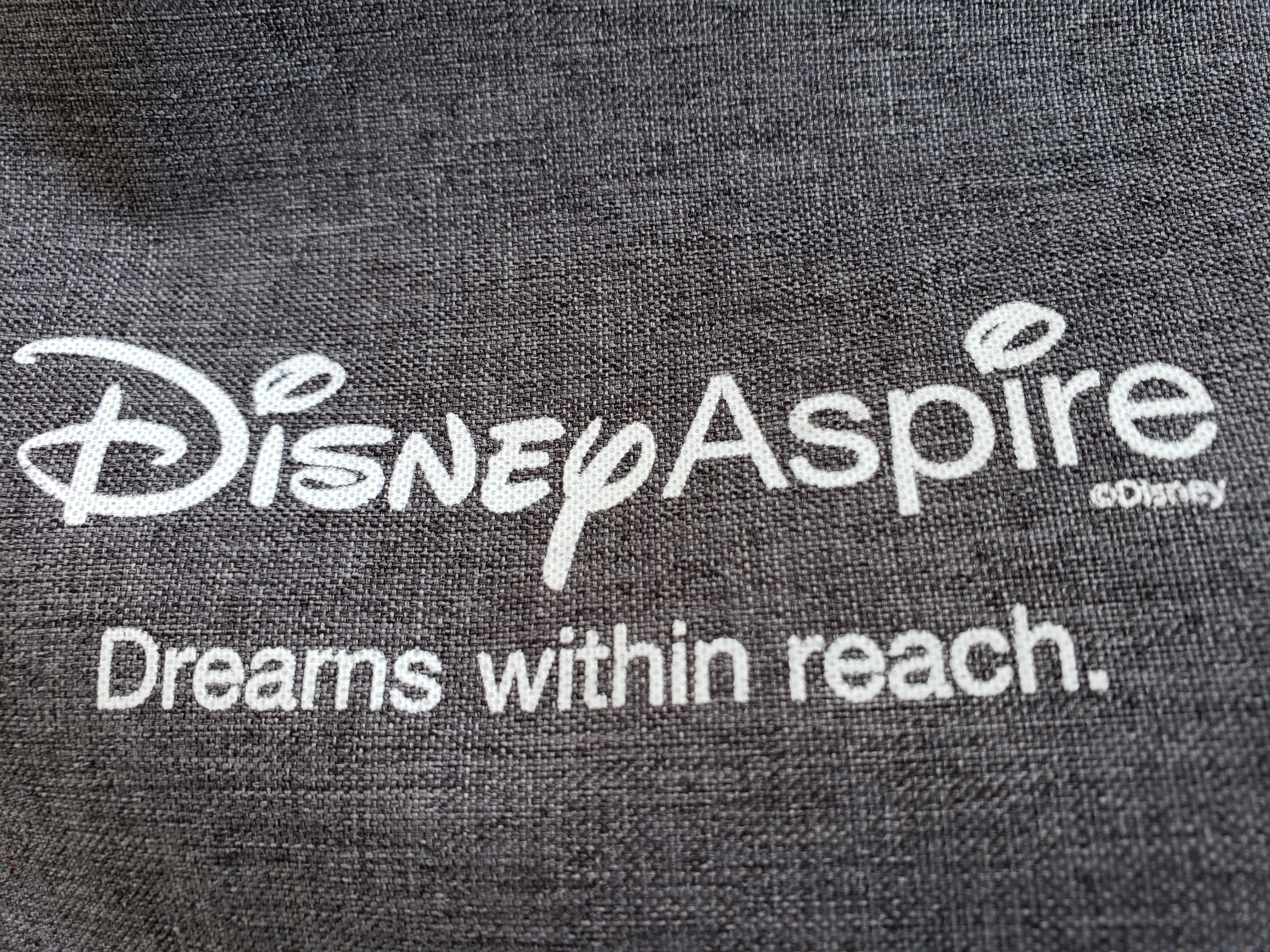 Disney Aspire College Program Inspires Cast Members
