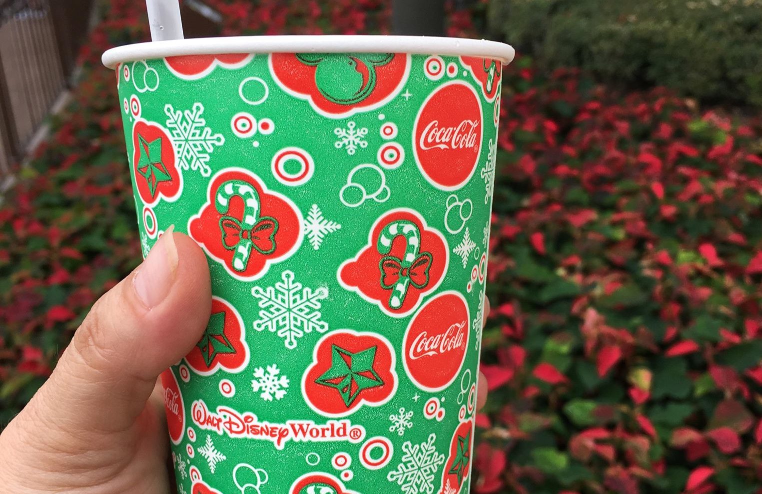 Out with Halloween, In With Christmas Cups at Walt Disney World