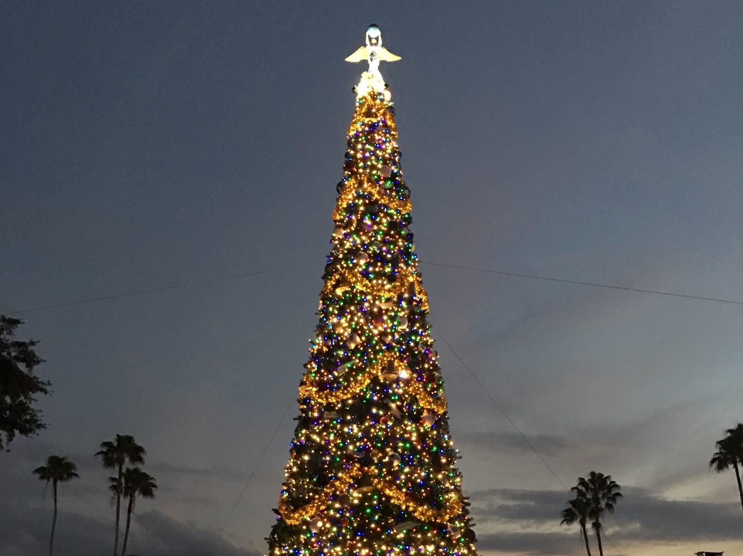 Epcot’s World Showcase Christmas Tree Has Gone Up