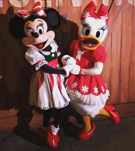 Mickey's Very Merry Christmas Party Character Meet and Greets
