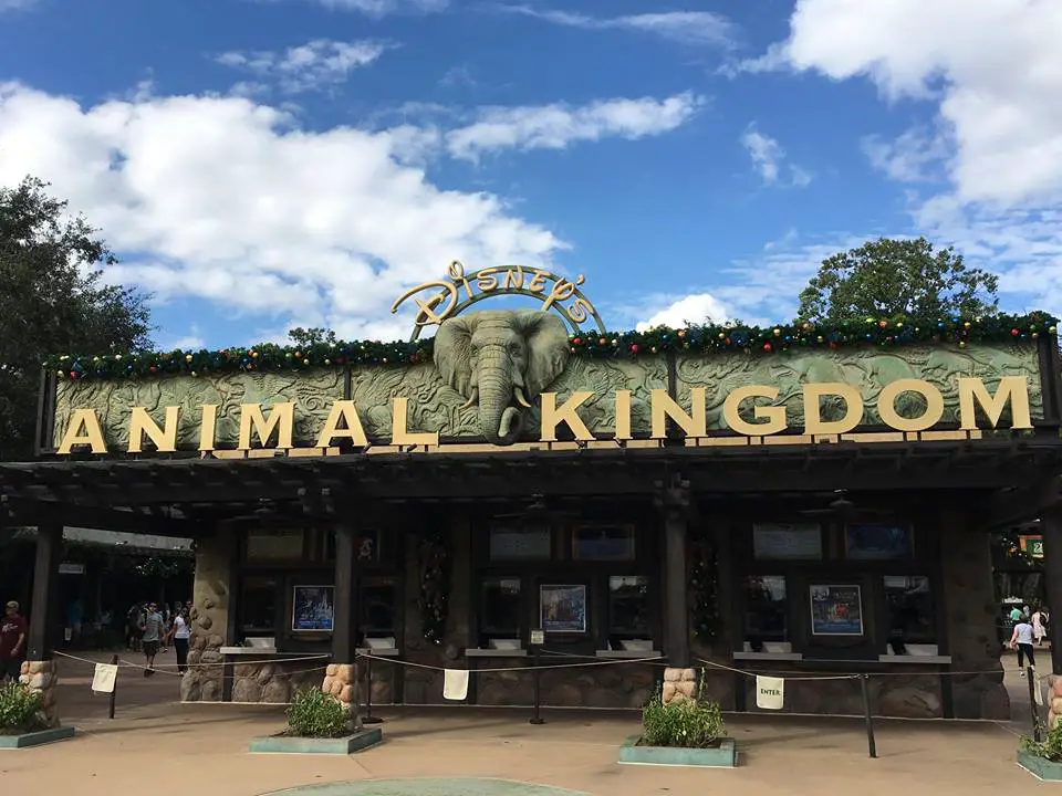 Christmas has come to Disney’s Animal Kingdom