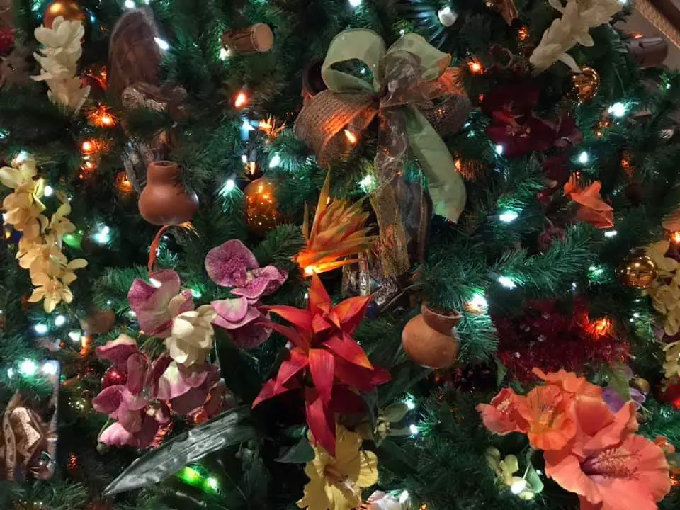 Behold the Wonder of the Holidays at the Polynesian Resort