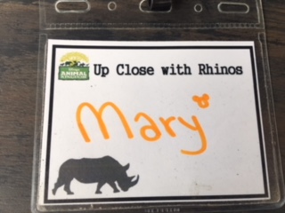 New Up Close With Rhinos Tour At Animal Kingdom