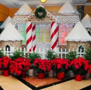 2018 Disney Cruise Line Gingerbread House Competition