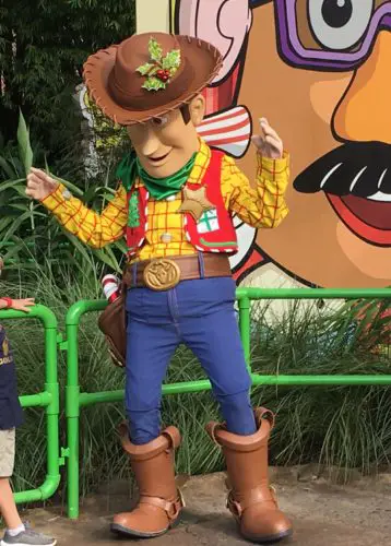 Christmas Woody