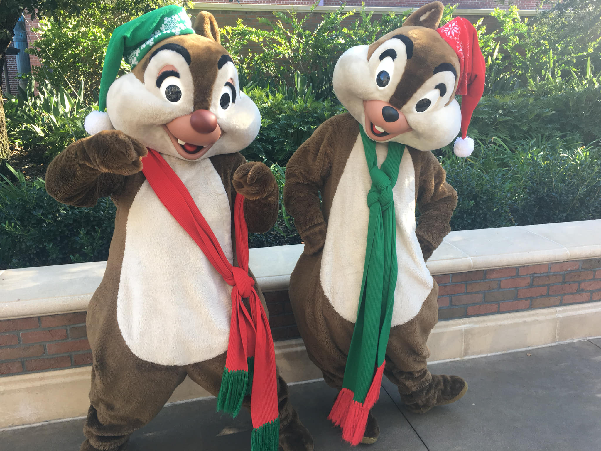 Daytime Park Guests Can Enjoy Mickey’s Very Merry Christmas Celebrations Starting Tomorrow