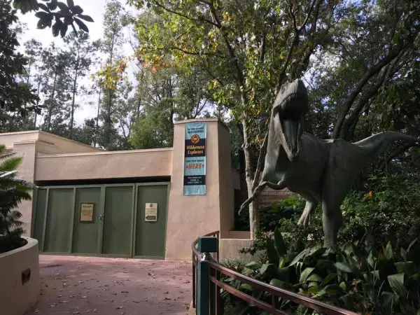 Explore Animal Kingdom in a Whole New Way