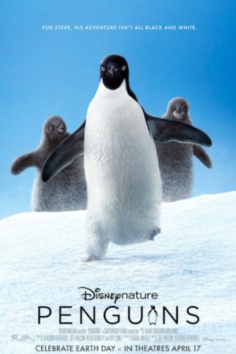 Disneynature's Penguins Coming Soon to a Theater Near You