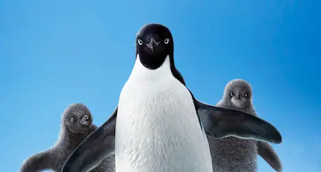 Disneynature’s Penguins Coming Soon to a Theater Near You