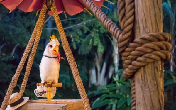 The Tropical Hideaway At Disneyland Park First Look