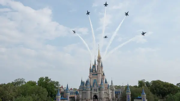 Walt Disney World Fly Over