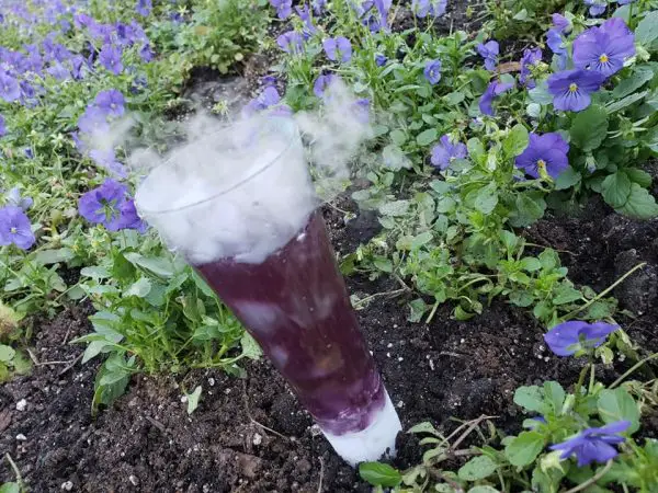 Review: New Purple Potion Treats Have Taken Over the Magic Kingdom!