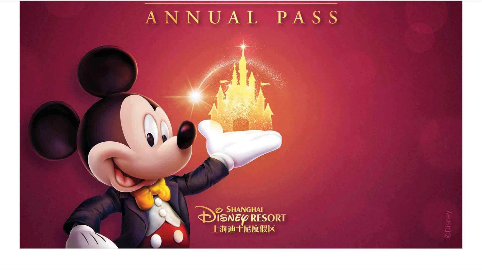 New Annual Pass Launches at Shanghai Disney Resort