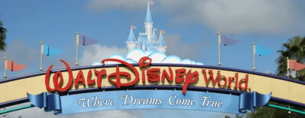 Walt Disney World Bartender Fired Over CBD Oil