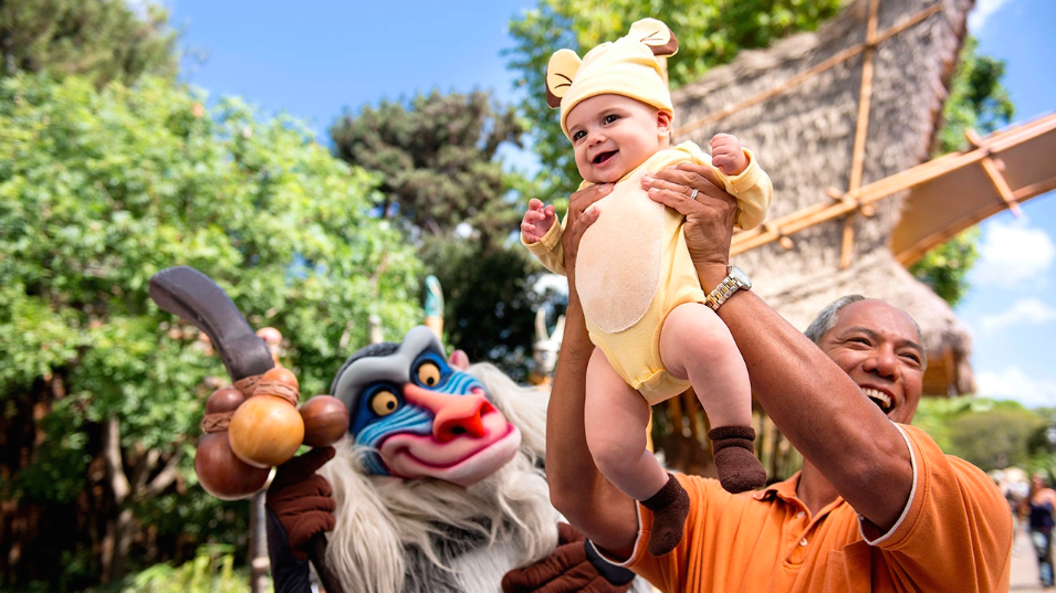 New Details on the Lion King and Jungle Festival at Disneyland Paris!