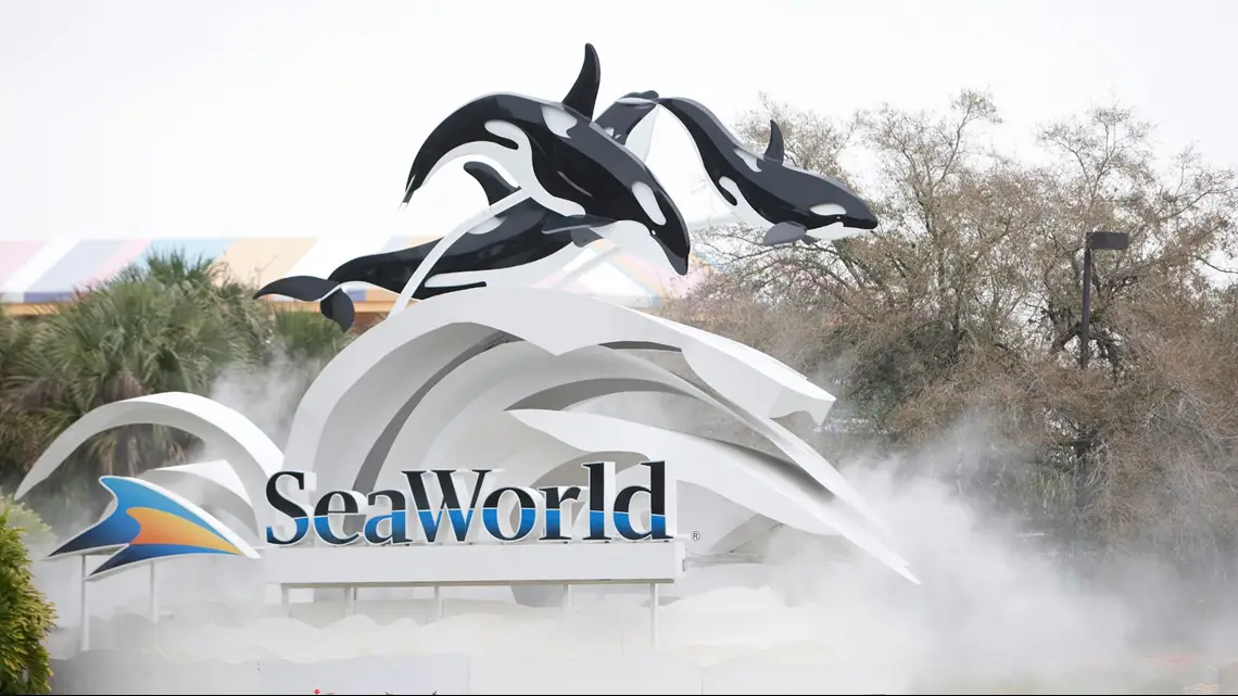SeaWorld Offers FREE Admission for U.S. Military Veterans and their Families