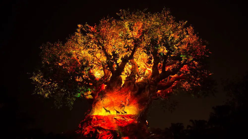 Lion King Sequence to Be Added to Tree of Life Awakenings at Animal Kingdom