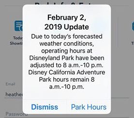 Disneyland Closes Early Due to Rain