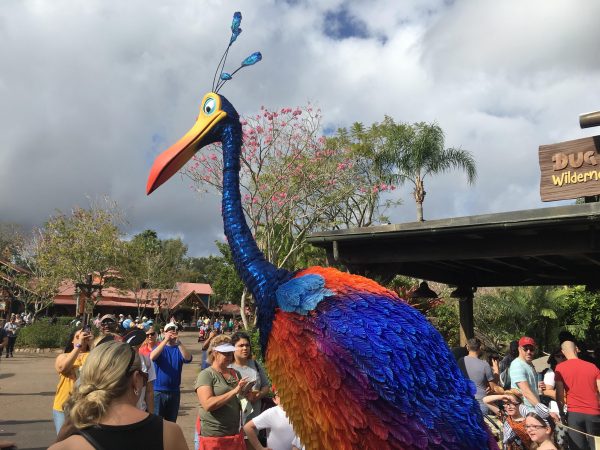 Kevin is Now Roaming Animal Kingdom