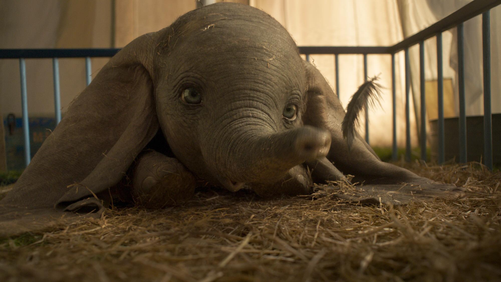 New Dumbo Trailer Shows More of Upcoming Film