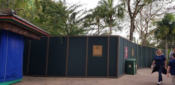 New Construction Wall up at Animal Kingdom Park