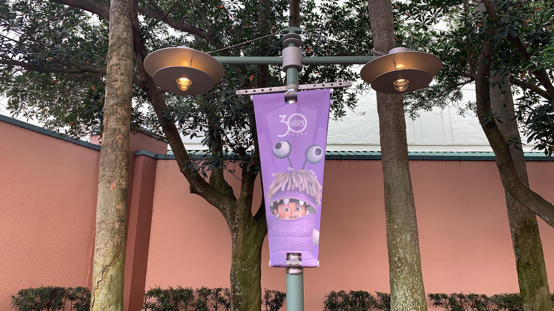 New 30th Anniversary Banners Are Up At Hollywood Studios