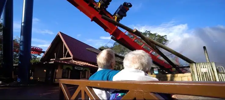 Meet The Goodmans, A Couple Who Love Theme Parks Such As Busch Gardens Tampa Bay