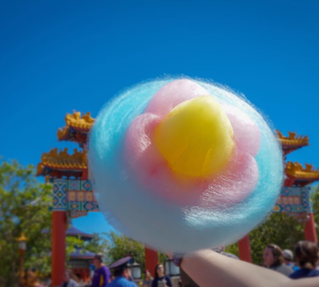 Beautiful Chinese Cotton Candy At Lotus House For Flower & Garden Festival