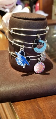 Disney Annual Passholder Bangle From Alex and Ani