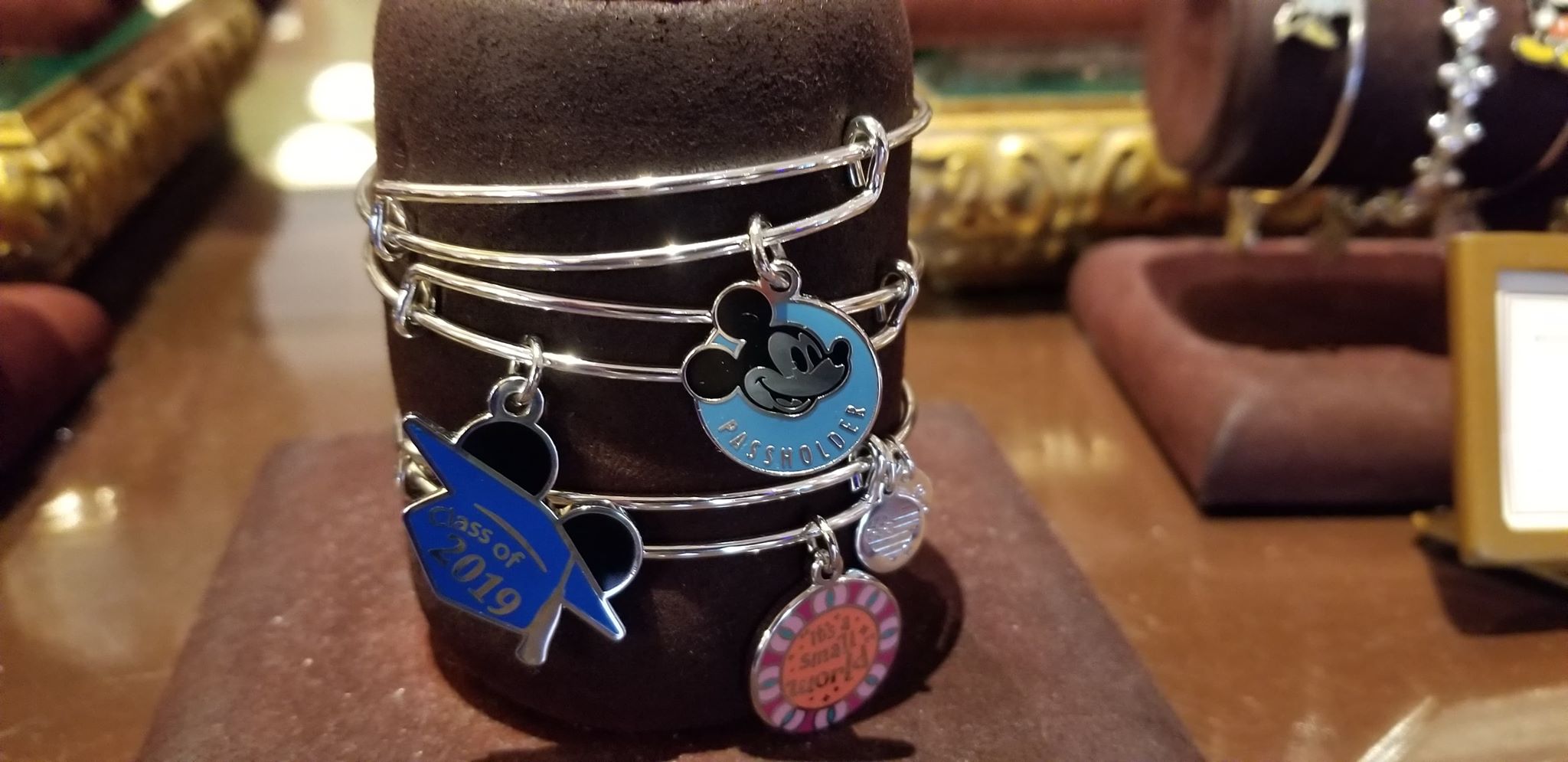 Disney Annual Passholder Bangle From Alex and Ani