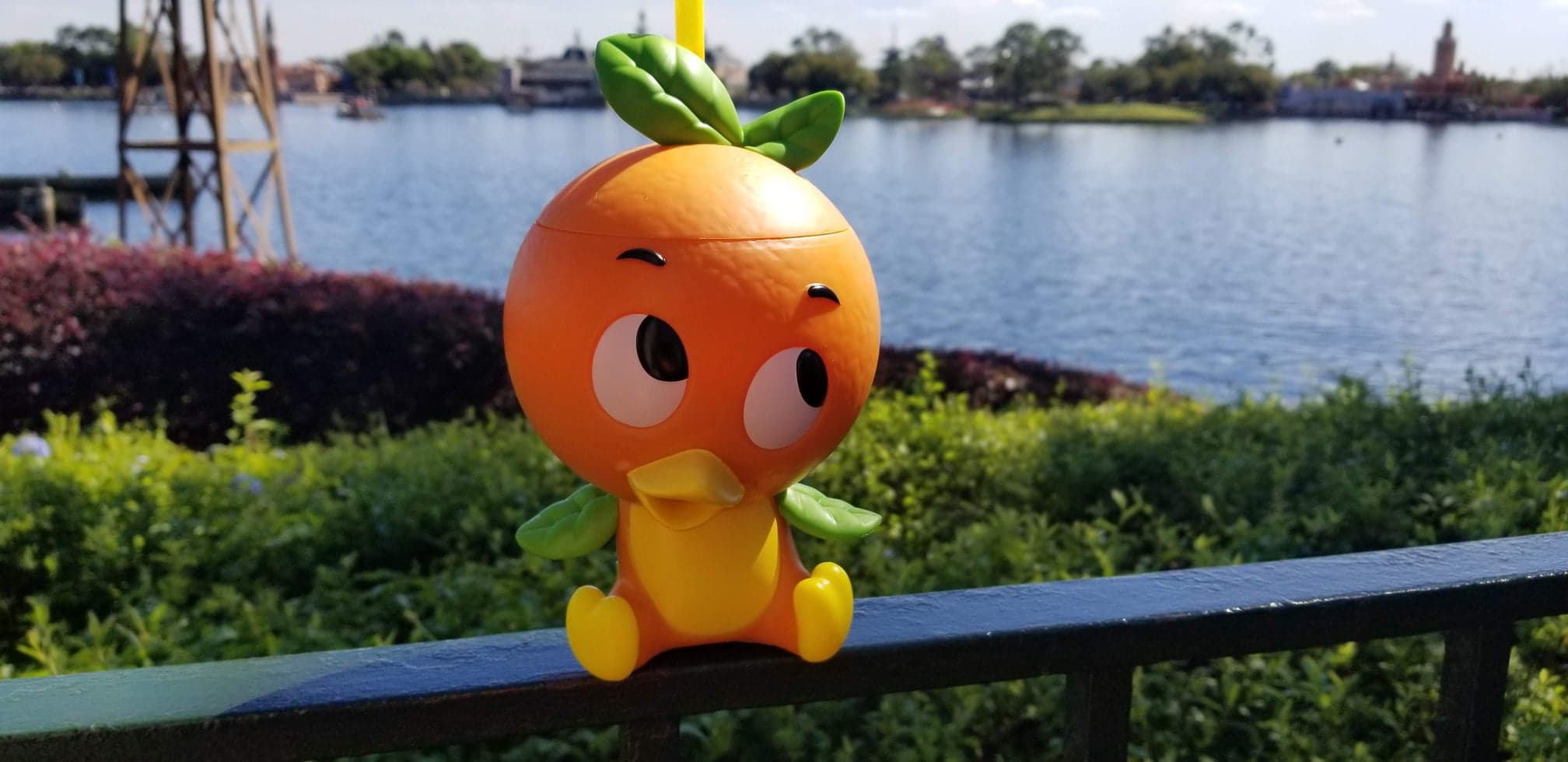 Orange Bird Sipper Cup back in stock at Epcot
