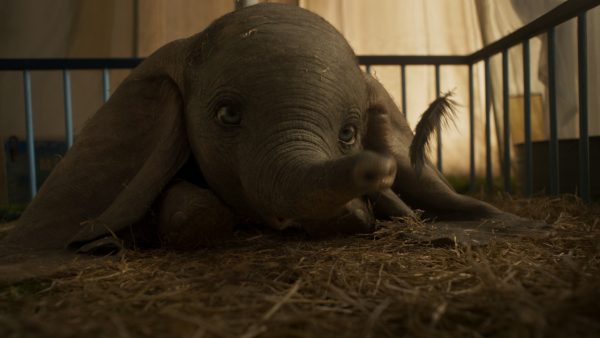 Disney's Live Action Dumbo Soars into theaters and into our hearts