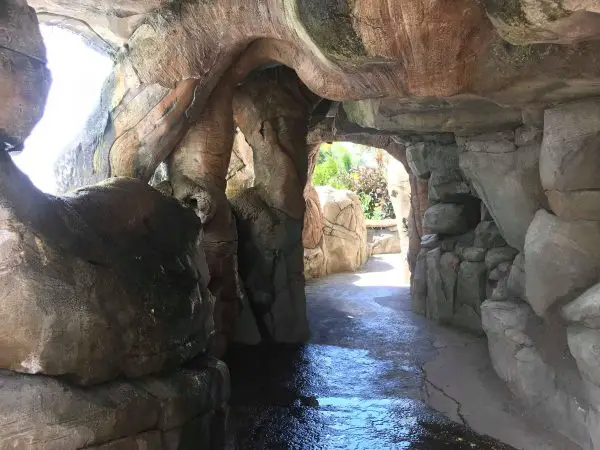 Tree of Life Garden Trail At Disney’s Animal Kingdom Has Reopened