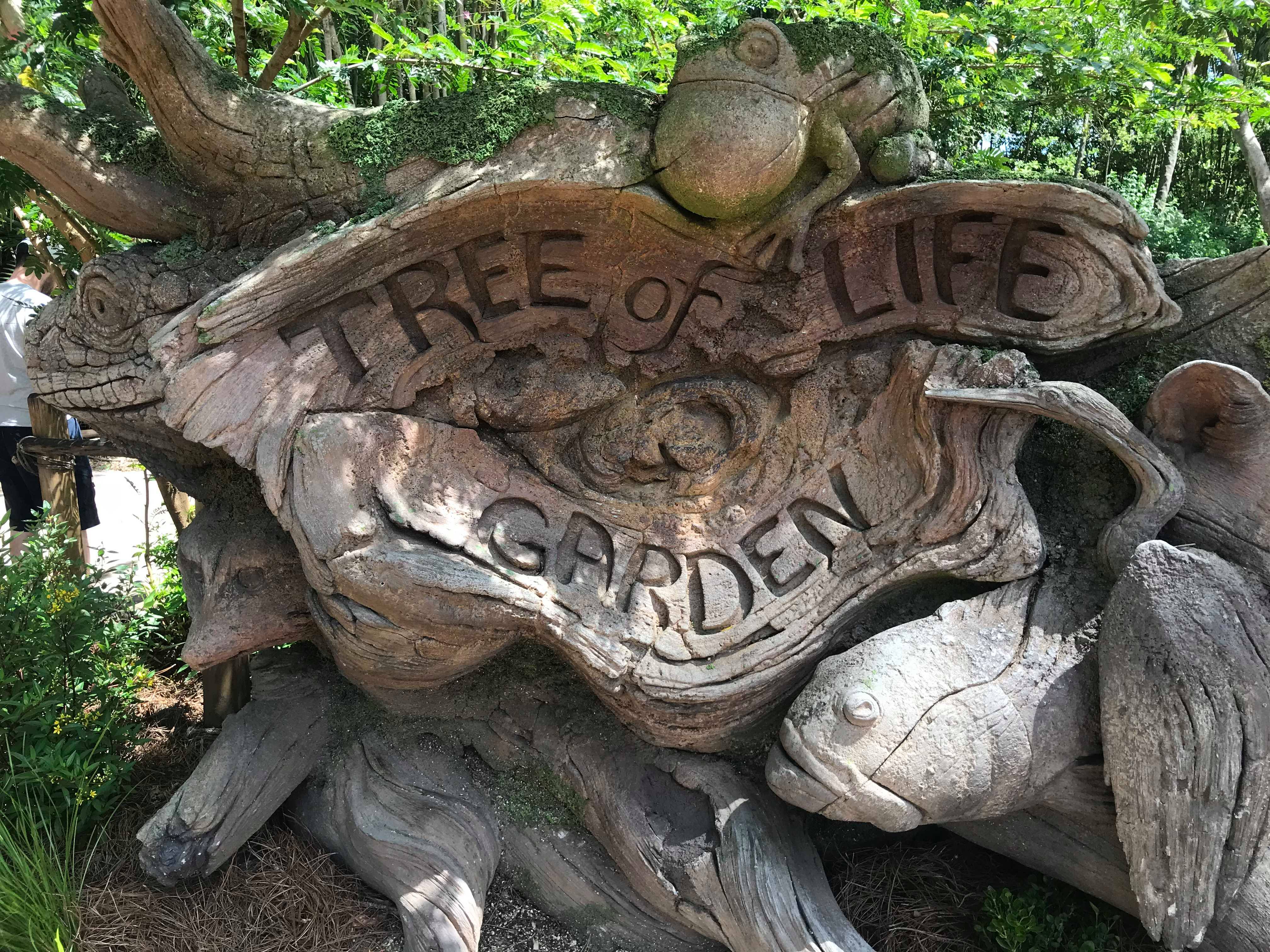 Download Tree of Life Garden Trail At Disney's Animal Kingdom Has Reopened
