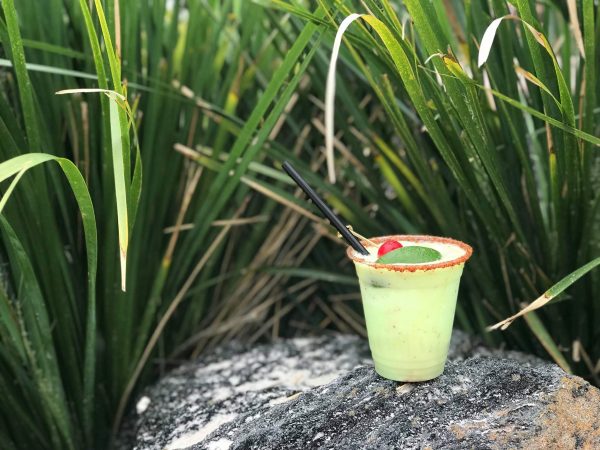 Frozen Margarita with Dole Whip Lime at the Polynesian Village Resort
