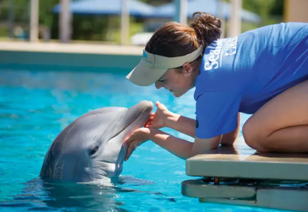 Check Out SeaWorld Orlando Adds All-New Locations to Inside Look Weekends