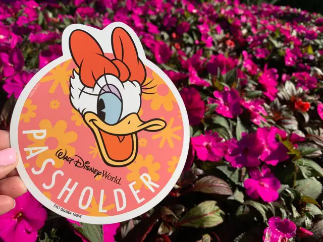 New Passholder Magnet At EPCOT Featuring Daisy Duck