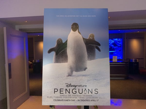 Media Preview: Disneynature's Penguins Hit the Big Screen